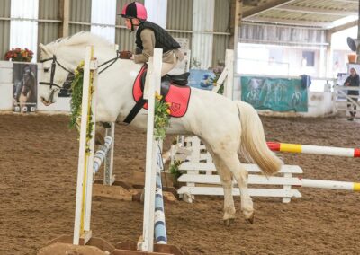 NSEA Show Jumping