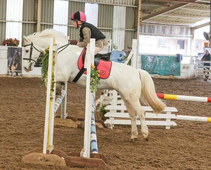 NSEA Show Jumping